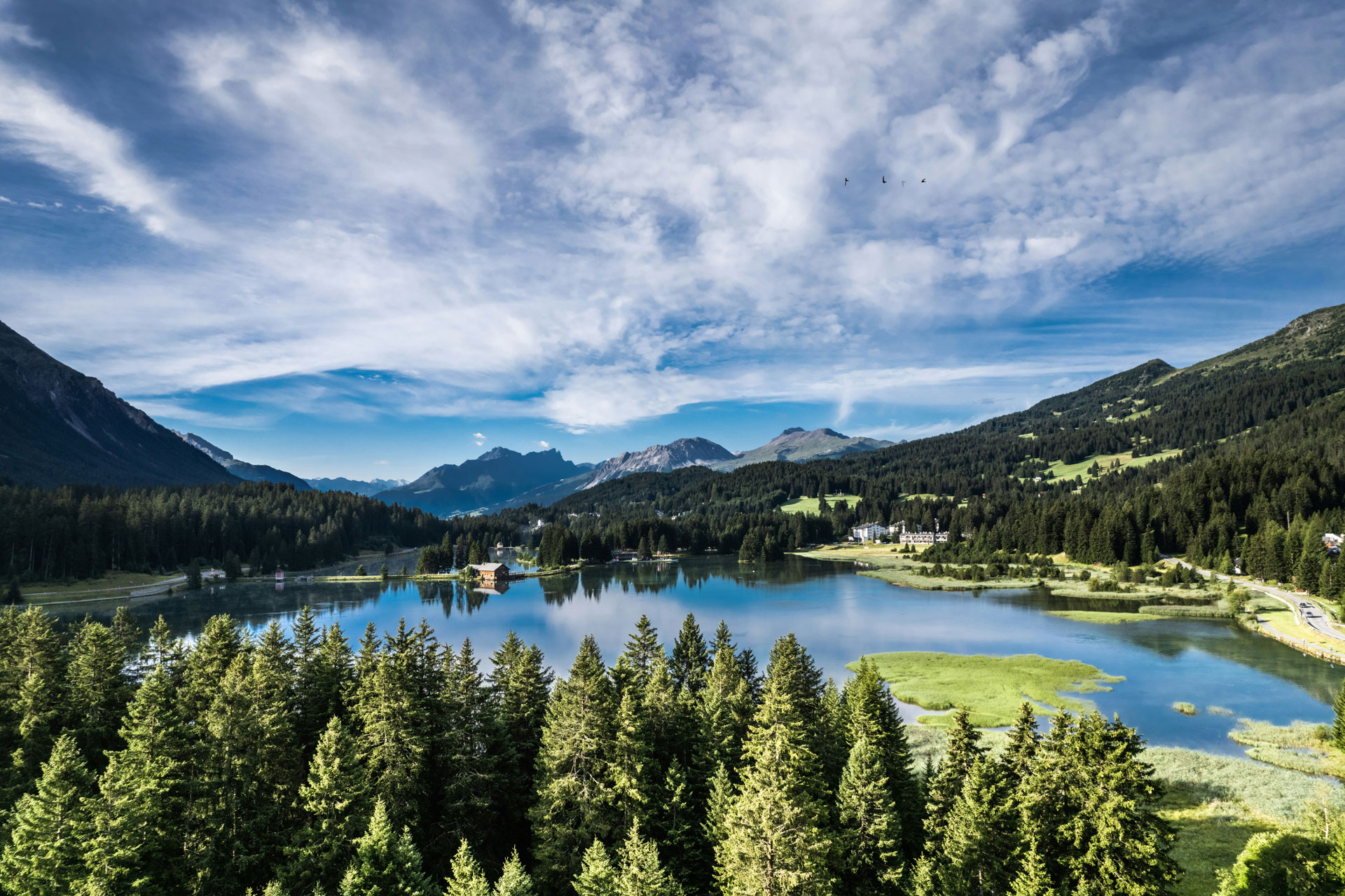 Scenic view of St. Moritz, Switzerland, featuring a tranquil alpine lake surrounded by dense pine forests and rolling green hills, with snow-capped mountains in the distance under a dramatic, cloud-streaked sky.