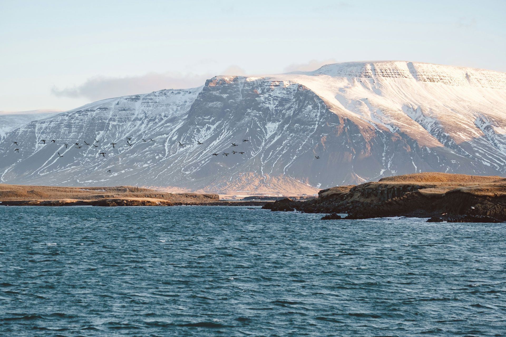 View of snow-capped mountains near Reykjavik, Iceland, rising behind a rugged coastal shoreline and deep blue Arctic waters, with a flock of birds soaring across the sky in the golden light of early morning or late afternoon.