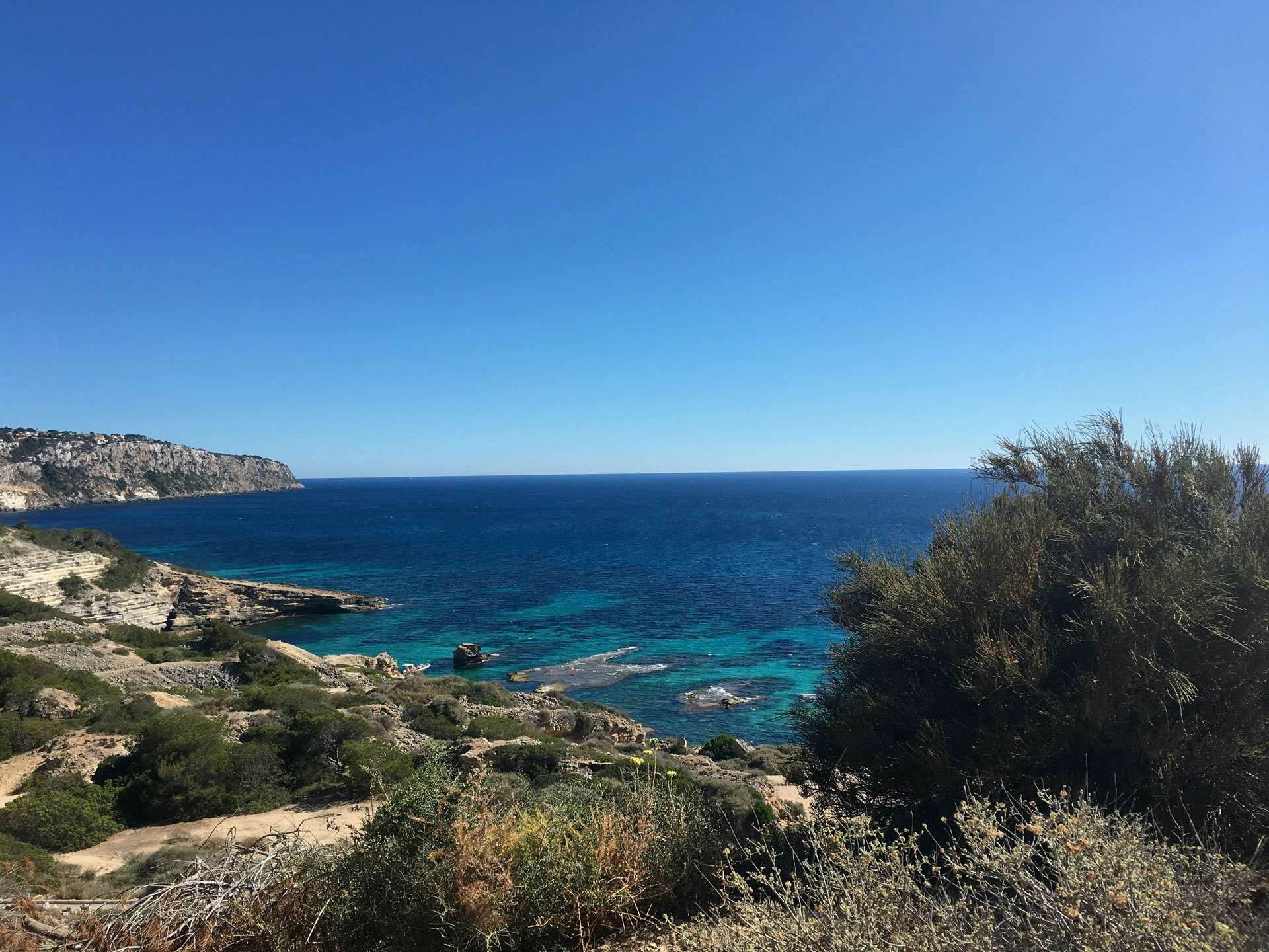 Coastal landscape in Mallorca, Spain, with rugged cliffs, turquoise Mediterranean waters, and native shrubs under a clear blue sky.