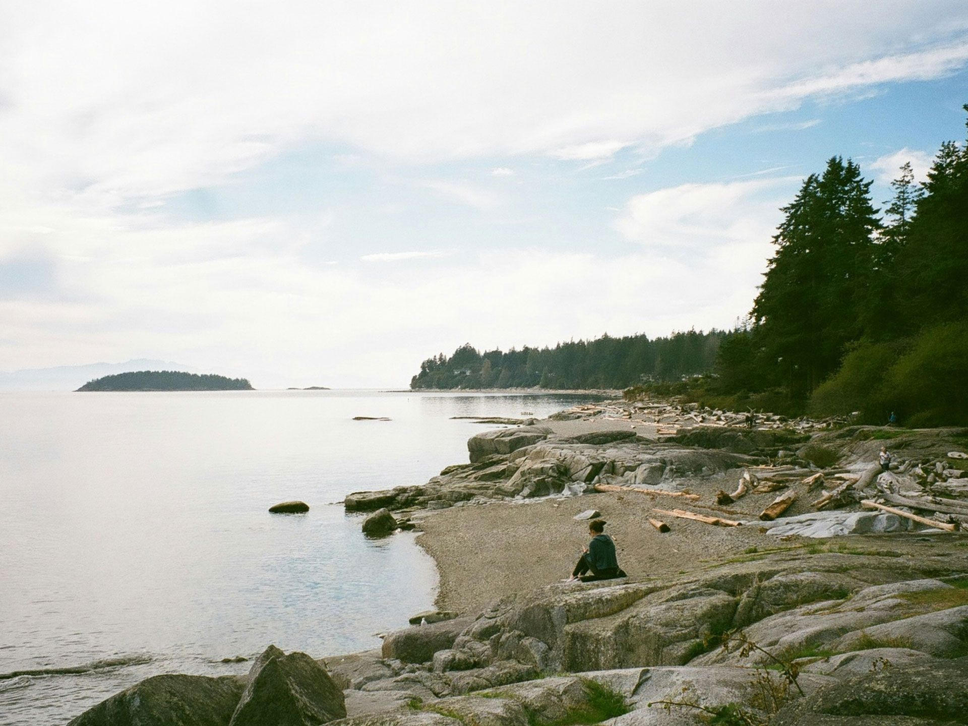 Peaceful coastal scene on Fogo Island, Canada, with driftwood scattered along a rocky shoreline, calm waters stretching to the horizon, and dense evergreen forest bordering the beach under a soft, cloudy sky.